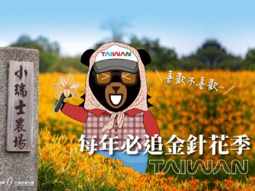 花蓮金針花季浪漫登場，夢幻黃金花海迎夏限定活動